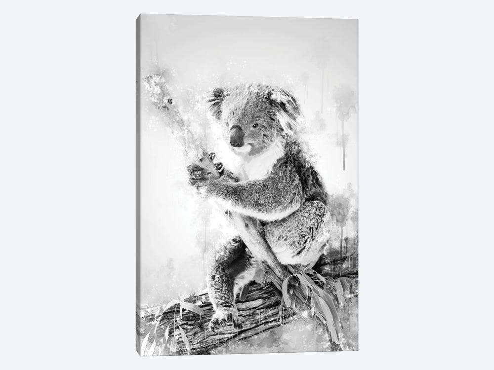 Koala On A Branch Black And White by Cornel Vlad 1-piece Canvas Artwork