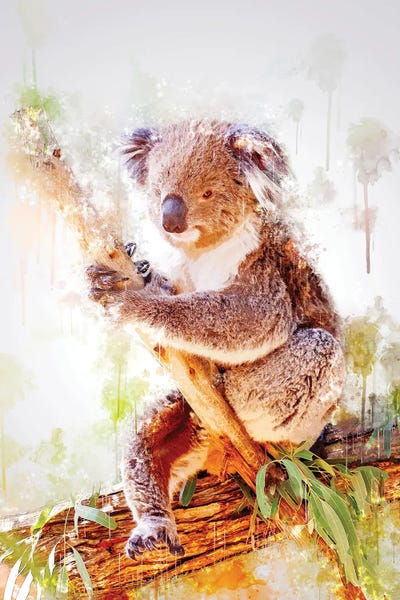 Koala On A Branch by Cornel Vlad art print