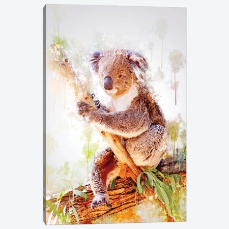 Koala On A Branch Canvas Print #CVL205} by Cornel Vlad Canvas Artwork