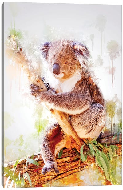 Koala On A Branch Canvas Art Print - Koala Art