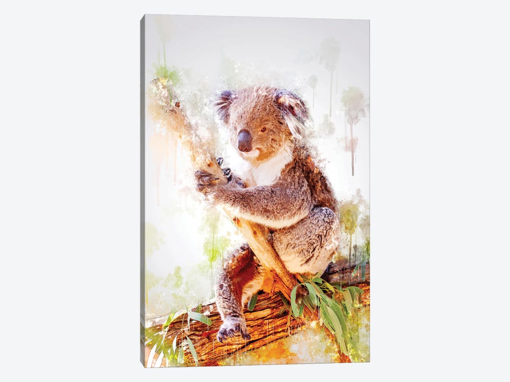 Koala On A Branch by Cornel Vlad 1-piece Art Print
