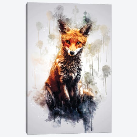 Fox Sitting Canvas Print #CVL206} by Cornel Vlad Canvas Art