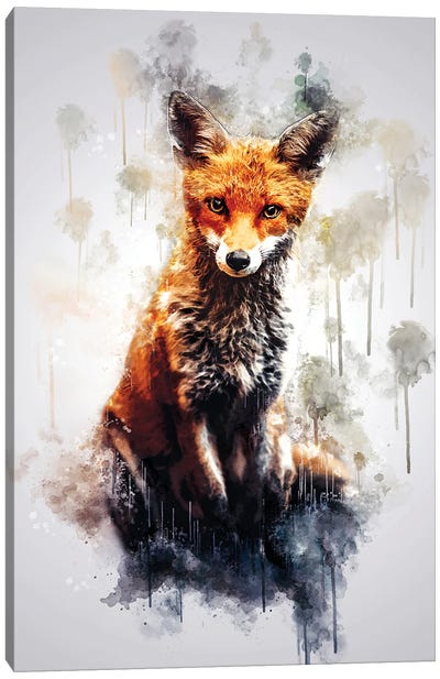 Fox Sitting Canvas Art Print - Fox Art