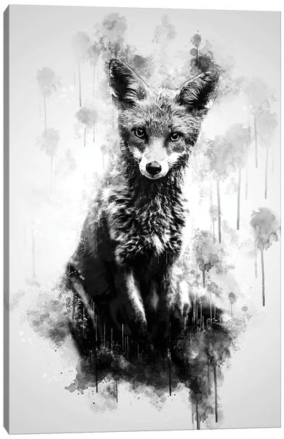 Fox Sitting Black And White Canvas Art Print - Cornel Vlad