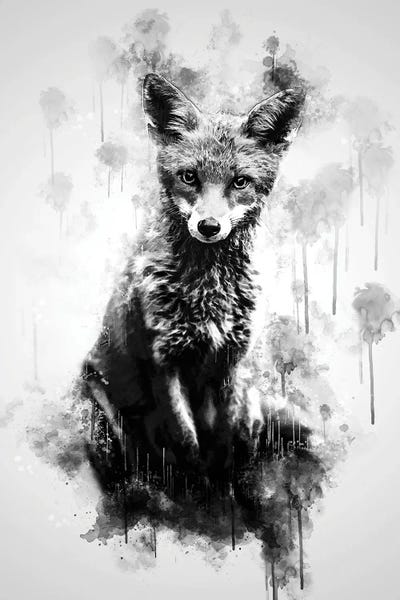 Fox Sitting Black And White