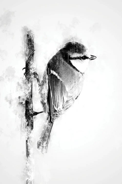 Bird On Twig Black And White