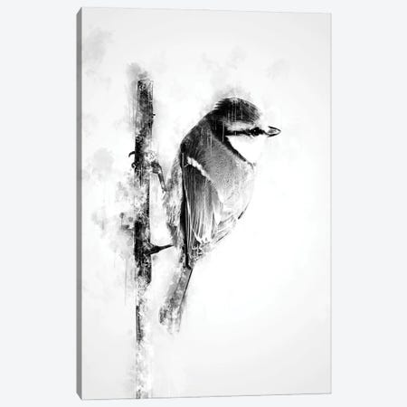 Bird On Twig Black And White Canvas Print #CVL212} by Cornel Vlad Canvas Artwork