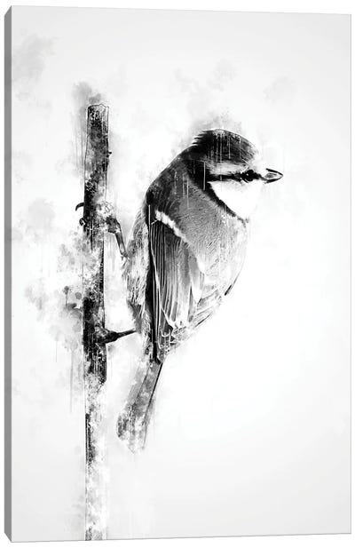 Bird On Twig Black And White Canvas Art Print - Cornel Vlad