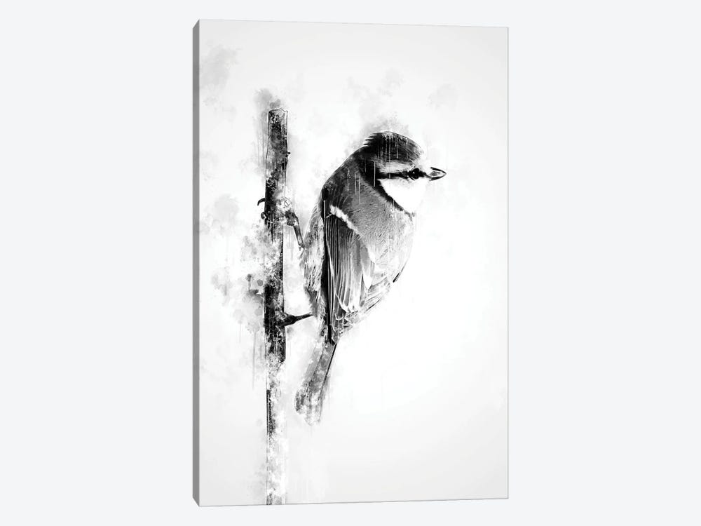 Bird On Twig Black And White by Cornel Vlad 1-piece Art Print