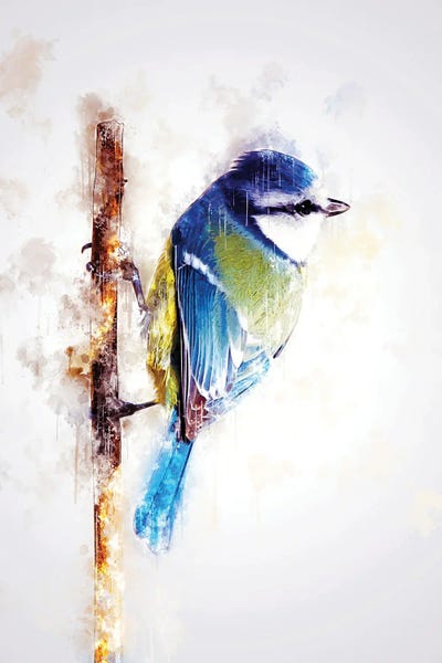 Bird On Twig by Cornel Vlad framed wall art