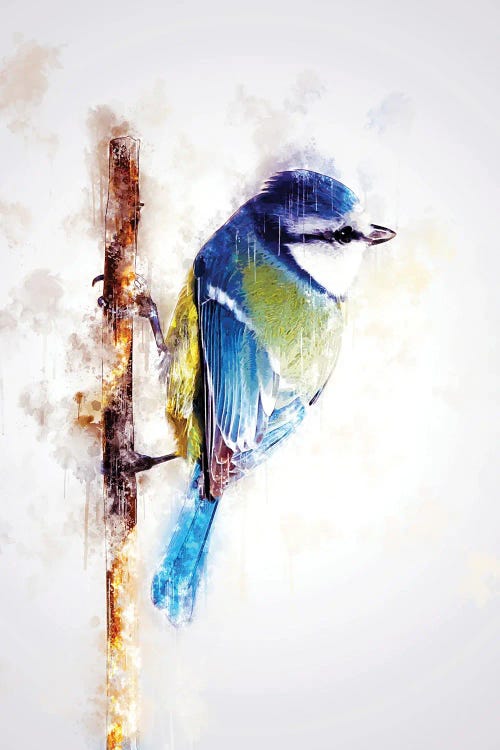 Bird On Twig