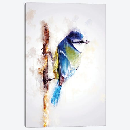Bird On Twig Canvas Print #CVL213} by Cornel Vlad Canvas Wall Art