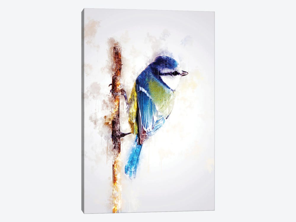 Bird On Twig by Cornel Vlad 1-piece Canvas Art