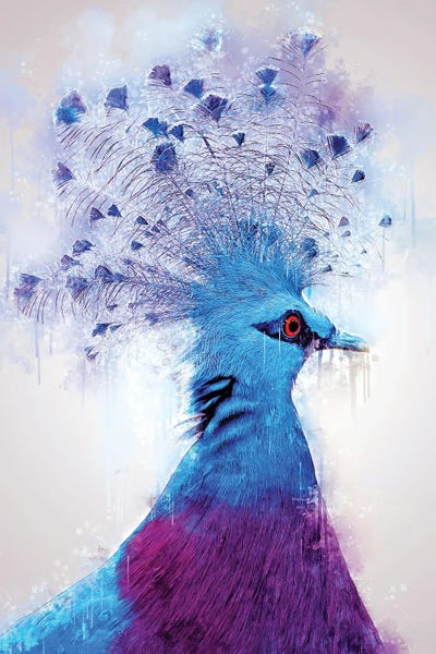 Victoria Crowned Dove by Cornel Vlad metal wall art