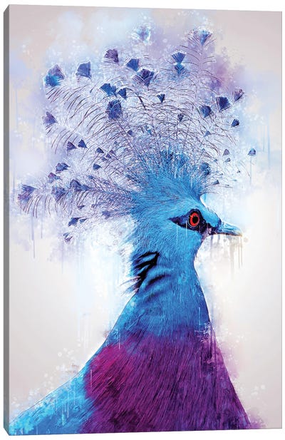 Victoria Crowned Dove Canvas Art Print - Dove & Pigeon Art