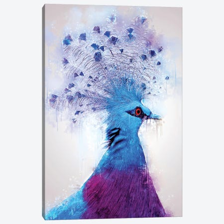 Victoria Crowned Dove Canvas Print #CVL214} by Cornel Vlad Canvas Print