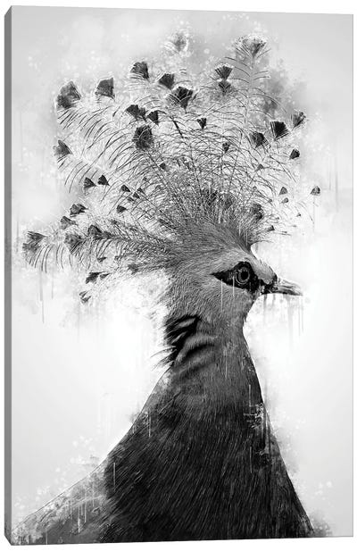 Victoria Crowned Dove Black And White Canvas Art Print - Dove & Pigeon Art