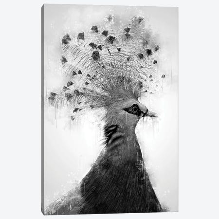 Victoria Crowned Dove Black And White Canvas Print #CVL215} by Cornel Vlad Canvas Print
