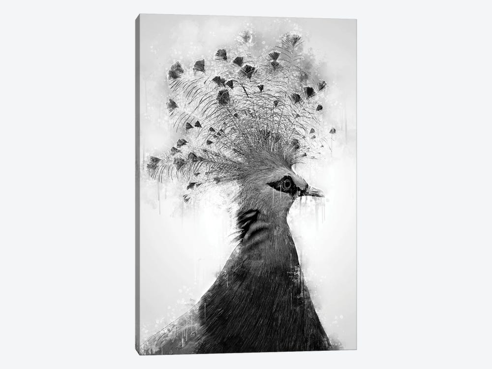 Victoria Crowned Dove Black And White by Cornel Vlad 1-piece Canvas Art