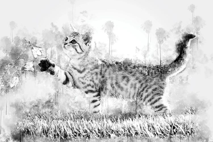 Kitten With Flower Black And White by Cornel Vlad wall art
