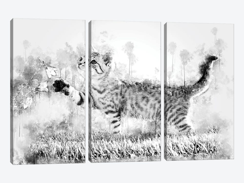 Kitten With Flower Black And White by Cornel Vlad 3-piece Canvas Print