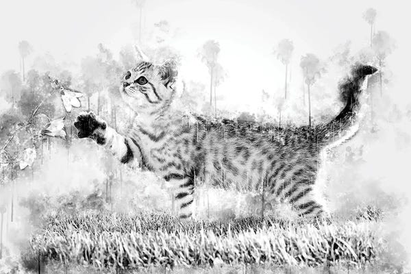 Cornel Vlad: Kitten With Flower Black And White by Cornel Vlad