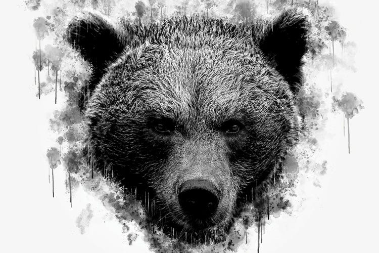 Brown Bear Head Black And White by Cornel Vlad wall art