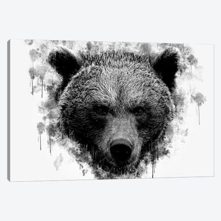 Brown Bear Head Black And White Canvas Print #CVL231} by Cornel Vlad Canvas Art