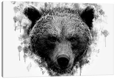 Brown Bear Head Black And White Canvas Art Print - Brown Bear Art
