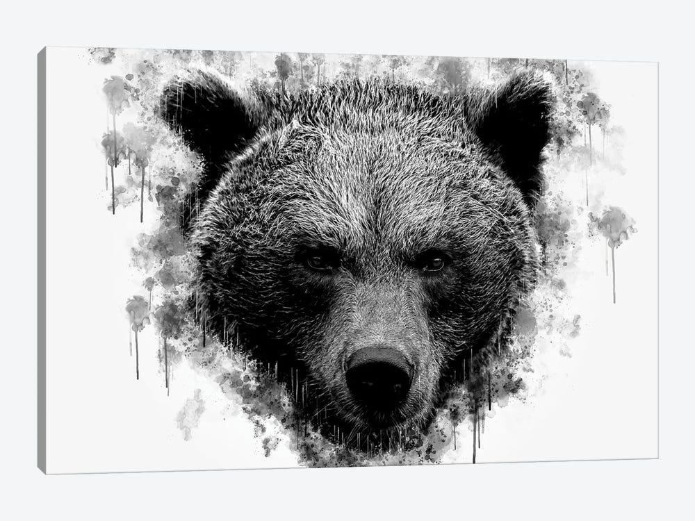 Brown Bear Head Black And White by Cornel Vlad 1-piece Canvas Artwork