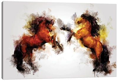 Horses Canvas Art Print - Cornel Vlad