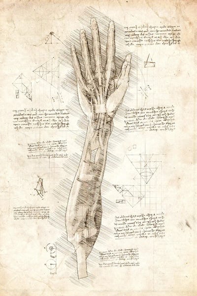 Human Hand Anatomy by Cornel Vlad multi panel art
