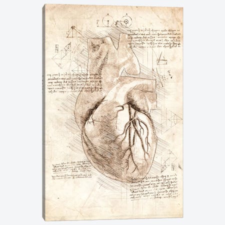 Human Heart Canvas Print #CVL50} by Cornel Vlad Art Print