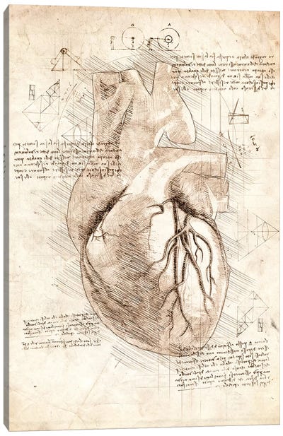 Human Heart Canvas Art Print - Medical & Dental Blueprints