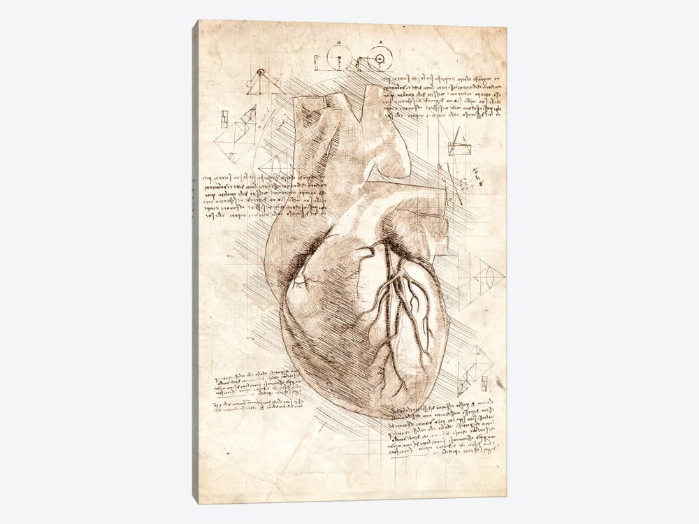 Human Heart by Cornel Vlad 1-piece Canvas Art