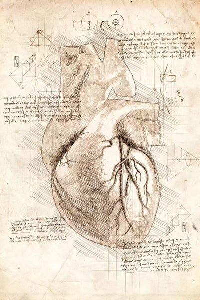 Medical & Dental Blueprints: Human Heart by Cornel Vlad