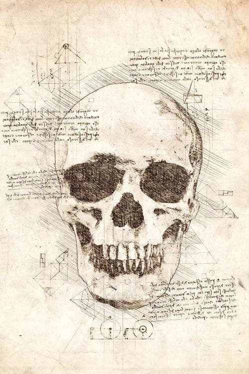 Human Skull