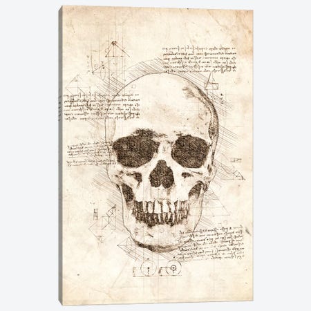 Human Skull Canvas Print #CVL53} by Cornel Vlad Canvas Print
