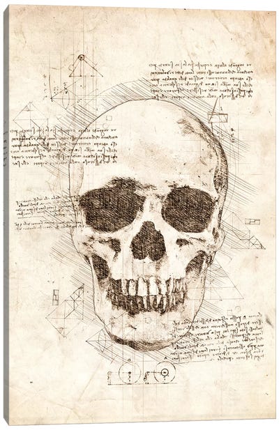 Human Skull Canvas Art Print - Medical & Dental Blueprints