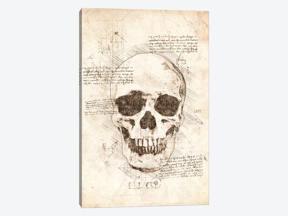 Human Skull by Cornel Vlad 1-piece Art Print