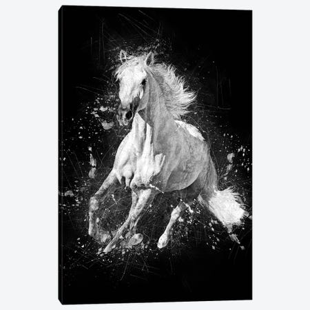 Horse Running Canvas Print #CVL6} by Cornel Vlad Canvas Artwork