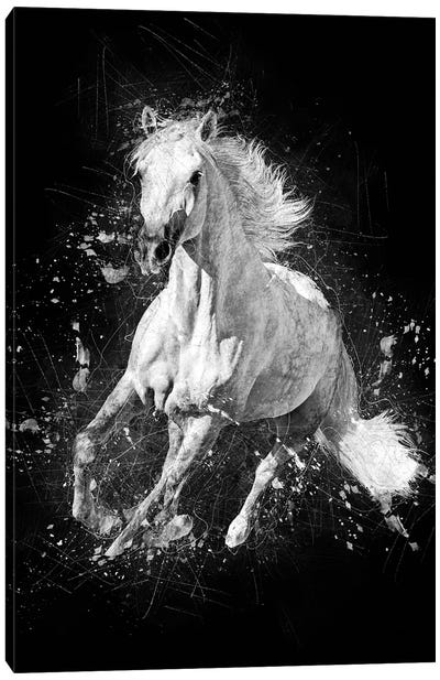 Horse Running Canvas Art Print - Cornel Vlad