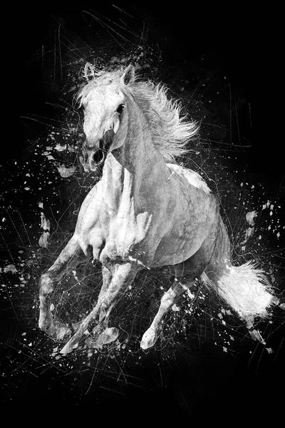 Cornel Vlad: Horse Running by Cornel Vlad