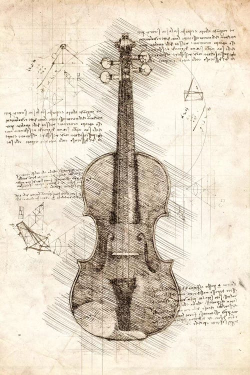 Violin