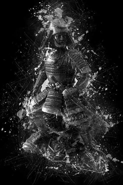 Samurai Statue by Cornel Vlad wall art