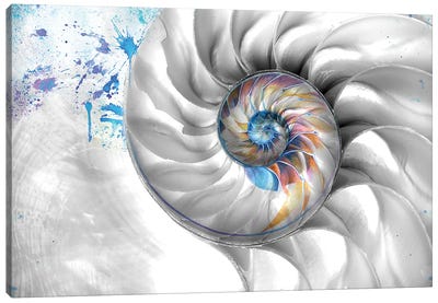 Peaceful Canvas Art Print - Sea Shell Art
