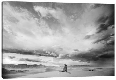 Cheetah Sitting On A Dune Canvas Art Print - Caroline Wendelin