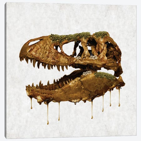 Jurassic Gold II Canvas Print #CWD147} by Caroline Wendelin Canvas Art