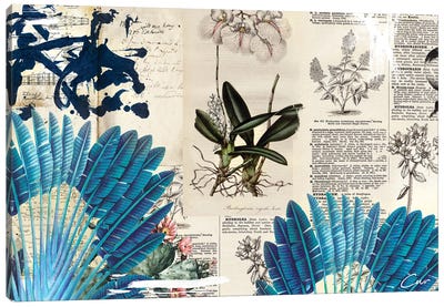 Botanic Book Canvas Art Print - Caroline Wendelin