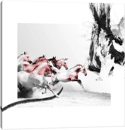 Horse Race Canvas Art Print - Caroline Wendelin